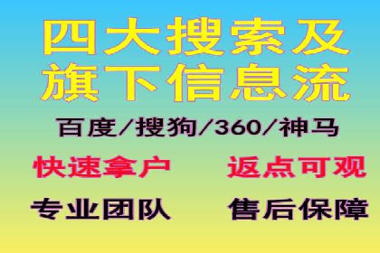 电商行业SEM运营的挑战与成功案例